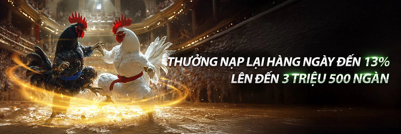 Trận đá gà trực tiếp trên nền tảng Vin777
